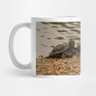 Red-eared Sliders Mug